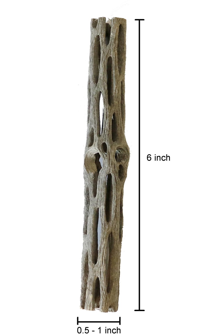SoShrimp Natural Cholla Wood for Aquarium Decoration Shrimp and Fish Tank (6 Inch (3 Pack)) - Image 5